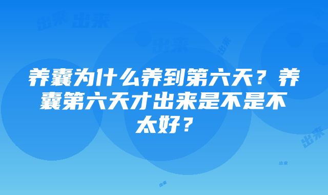 养囊为什么养到第六天？养囊第六天才出来是不是不太好？