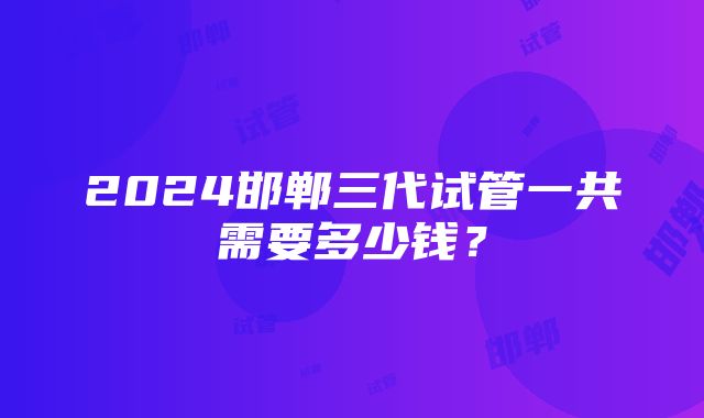 2024邯郸三代试管一共需要多少钱？