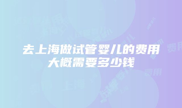 去上海做试管婴儿的费用大概需要多少钱