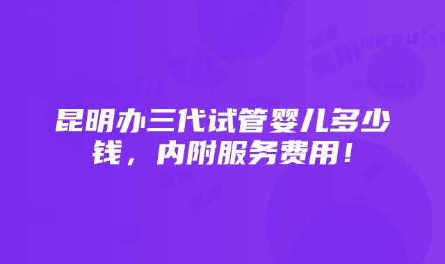 昆明办三代试管婴儿多少钱，内附服务费用！