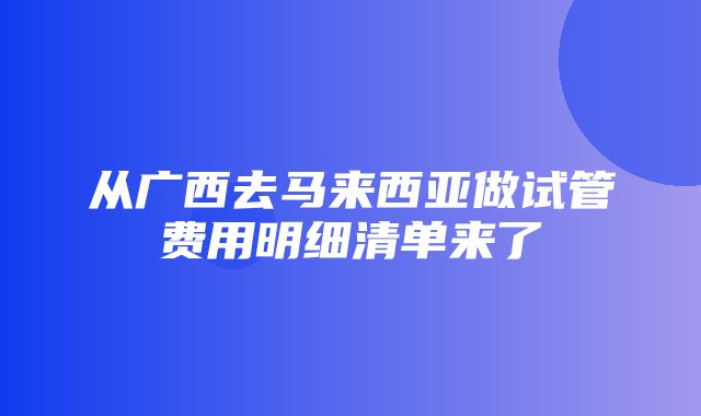 从广西去马来西亚做试管费用明细清单来了