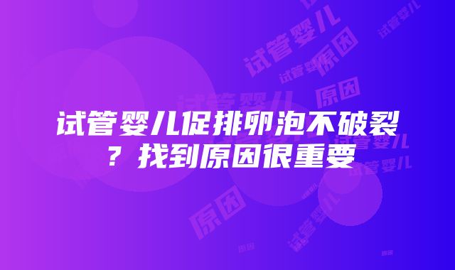 试管婴儿促排卵泡不破裂？找到原因很重要