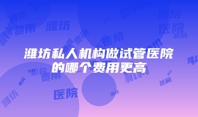 潍坊私人机构做试管医院的哪个费用更高