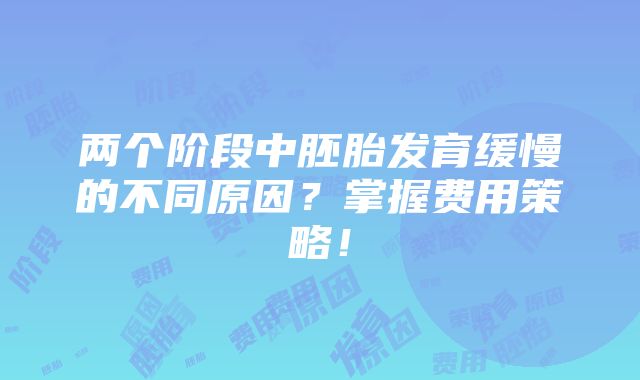 两个阶段中胚胎发育缓慢的不同原因？掌握费用策略！