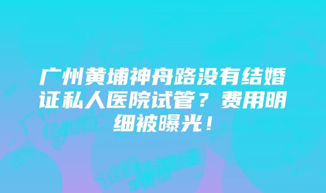 广州黄埔神舟路没有结婚证私人医院试管？费用明细被曝光！