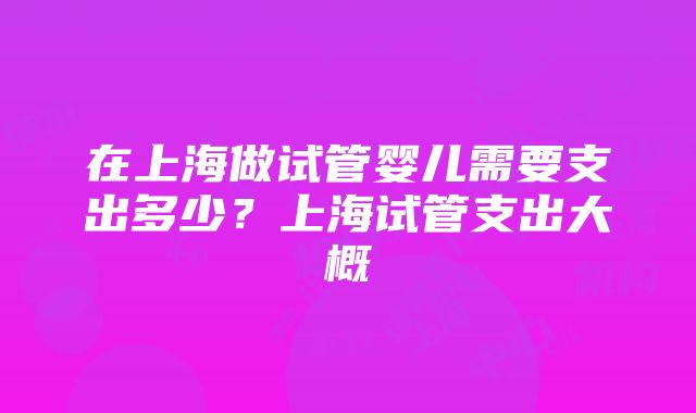 在上海做试管婴儿需要支出多少？上海试管支出大概