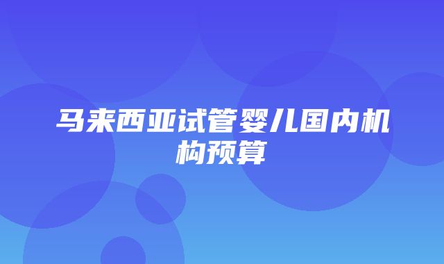 马来西亚试管婴儿国内机构预算