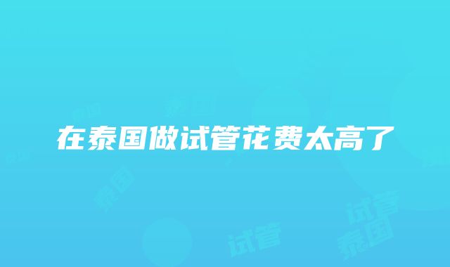 在泰国做试管花费太高了