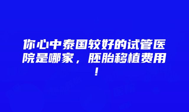 你心中泰国较好的试管医院是哪家，胚胎移植费用！