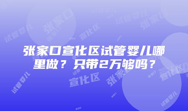 张家口宣化区试管婴儿哪里做？只带2万够吗？