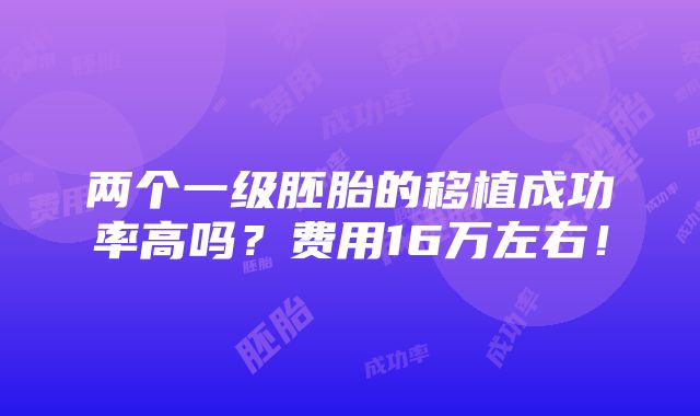 两个一级胚胎的移植成功率高吗？费用16万左右！