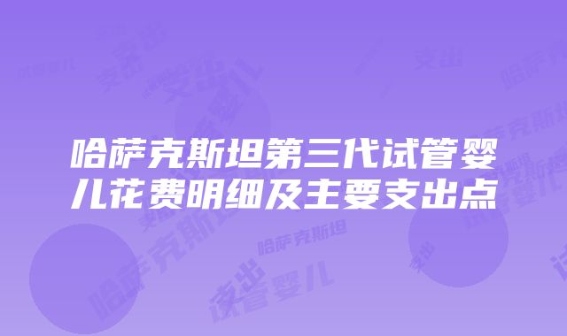 哈萨克斯坦第三代试管婴儿花费明细及主要支出点