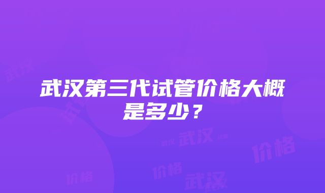 武汉第三代试管价格大概是多少？