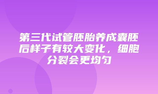 第三代试管胚胎养成囊胚后样子有较大变化，细胞分裂会更均匀