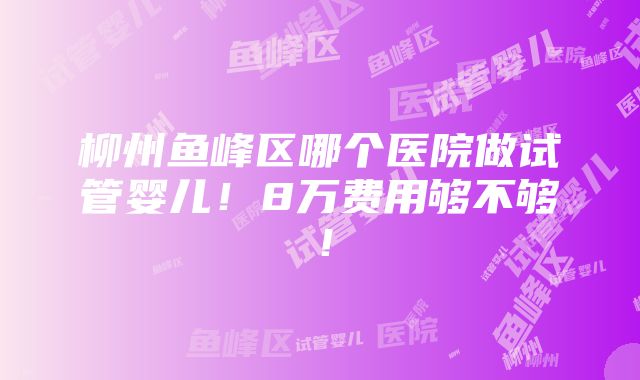 柳州鱼峰区哪个医院做试管婴儿！8万费用够不够！