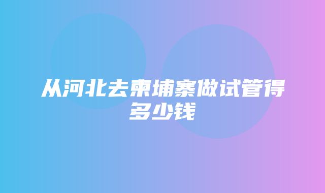 从河北去柬埔寨做试管得多少钱