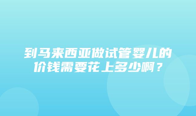 到马来西亚做试管婴儿的价钱需要花上多少啊？