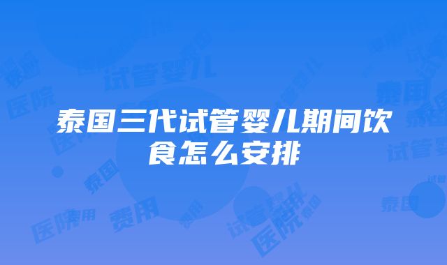 泰国三代试管婴儿期间饮食怎么安排