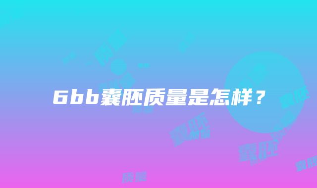 6bb囊胚质量是怎样？