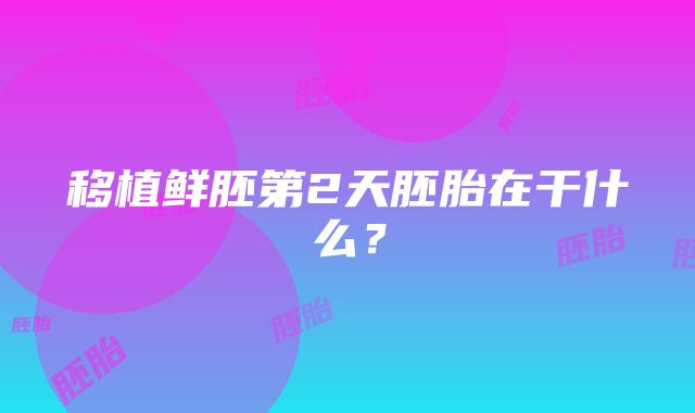 移植鲜胚第2天胚胎在干什么？