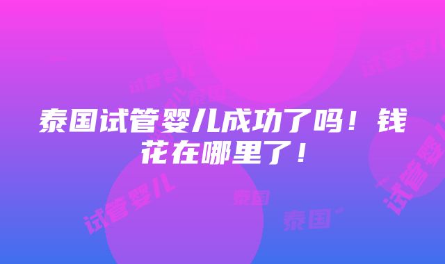 泰国试管婴儿成功了吗！钱花在哪里了！