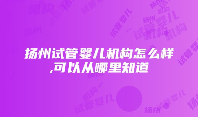 扬州试管婴儿机构怎么样,可以从哪里知道