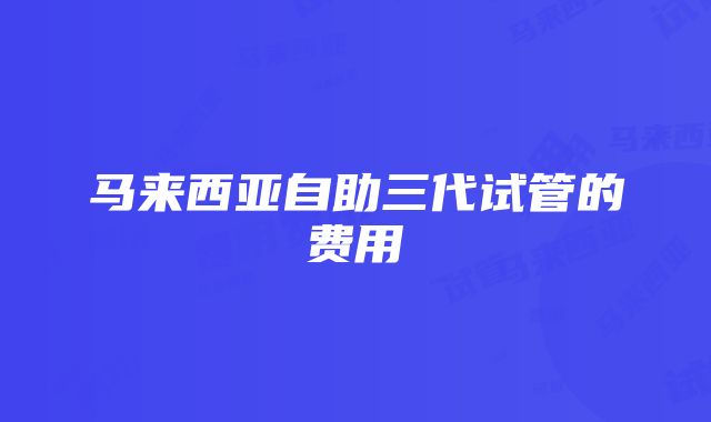 马来西亚自助三代试管的费用