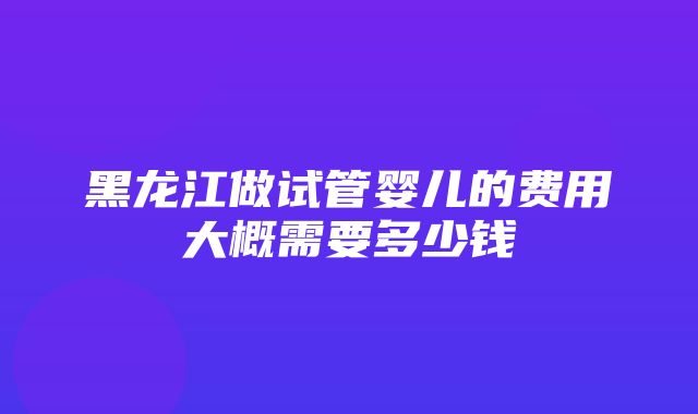 黑龙江做试管婴儿的费用大概需要多少钱