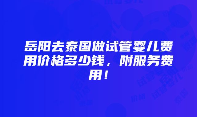 岳阳去泰国做试管婴儿费用价格多少钱，附服务费用！