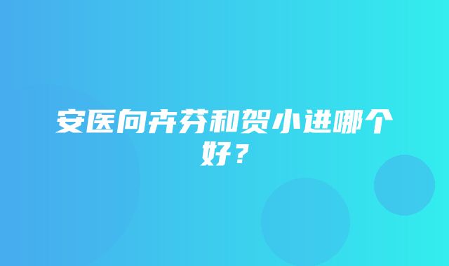 安医向卉芬和贺小进哪个好？