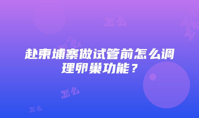 赴柬埔寨做试管前怎么调理卵巢功能？