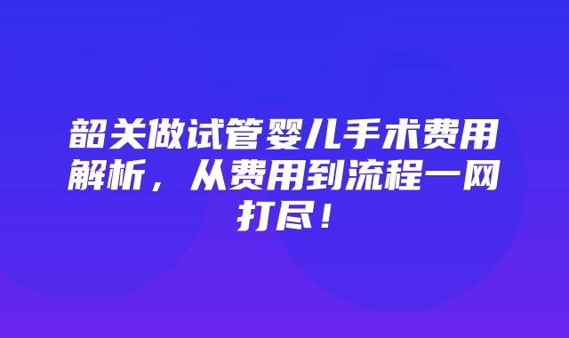 韶关做试管婴儿手术费用解析，从费用到流程一网打尽！