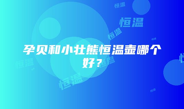 孕贝和小壮熊恒温壶哪个好？