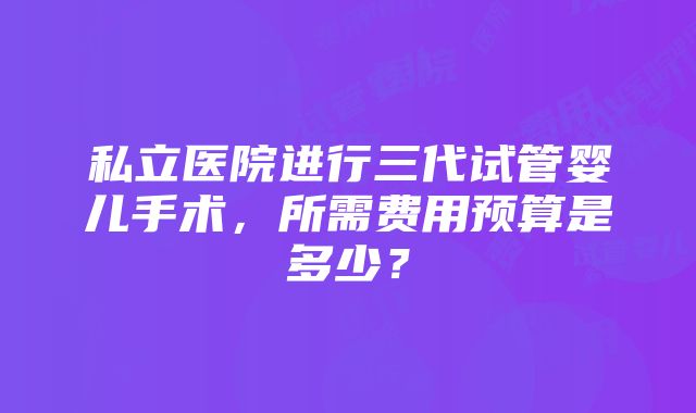 私立医院进行三代试管婴儿手术，所需费用预算是多少？