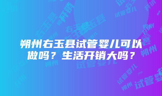 朔州右玉县试管婴儿可以做吗？生活开销大吗？