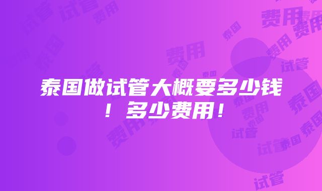 泰国做试管大概要多少钱！多少费用！