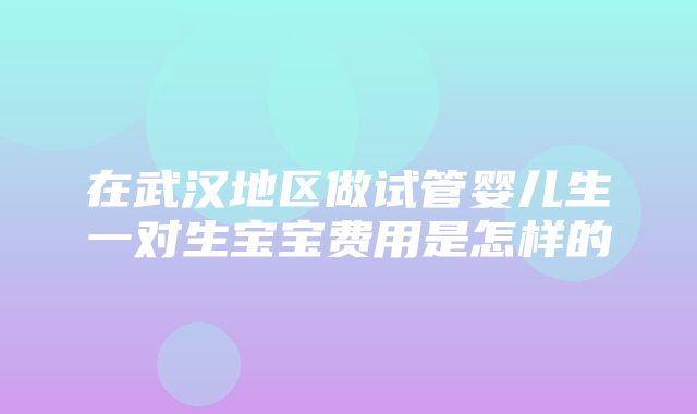 在武汉地区做试管婴儿生一对生宝宝费用是怎样的