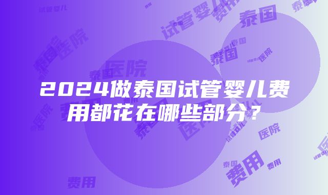 2024做泰国试管婴儿费用都花在哪些部分？