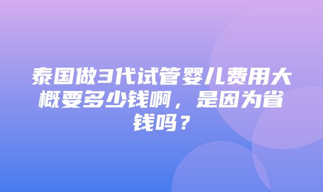 泰国做3代试管婴儿费用大概要多少钱啊，是因为省钱吗？