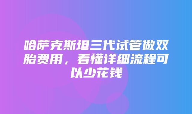 哈萨克斯坦三代试管做双胎费用，看懂详细流程可以少花钱