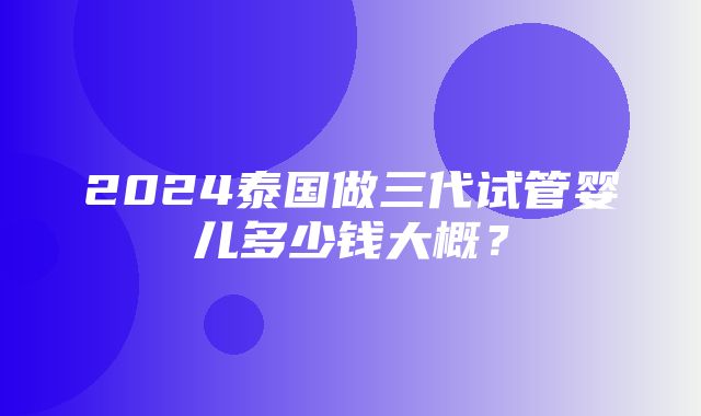 2024泰国做三代试管婴儿多少钱大概？