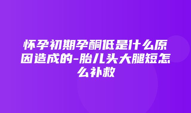 怀孕初期孕酮低是什么原因造成的-胎儿头大腿短怎么补救