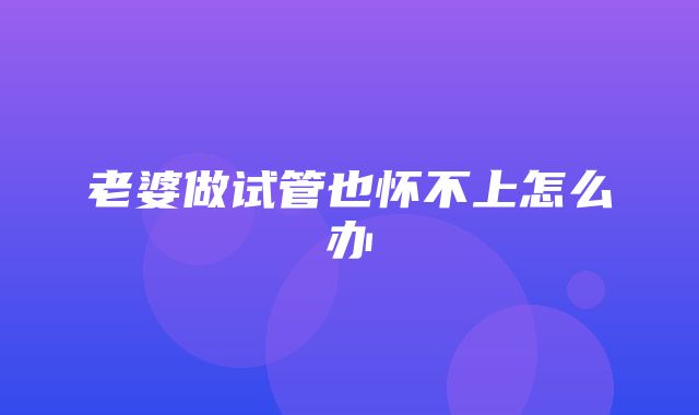 老婆做试管也怀不上怎么办