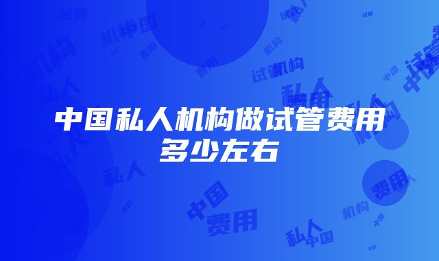 中国私人机构做试管费用多少左右