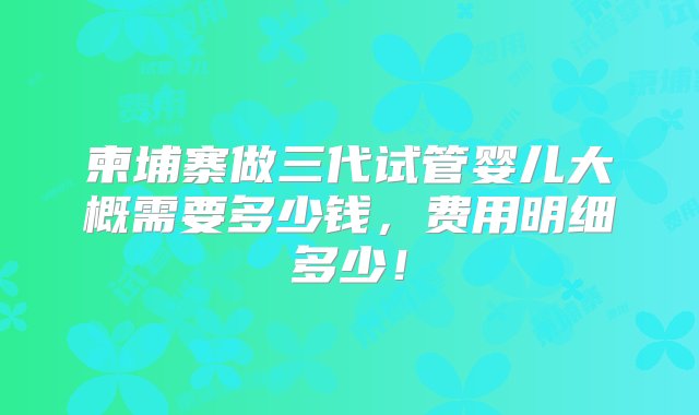 柬埔寨做三代试管婴儿大概需要多少钱，费用明细多少！