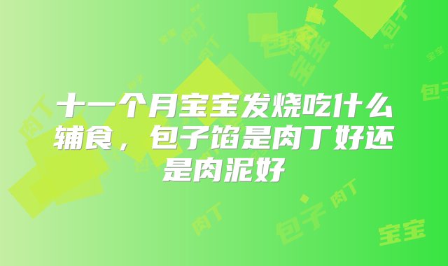 十一个月宝宝发烧吃什么辅食，包子馅是肉丁好还是肉泥好