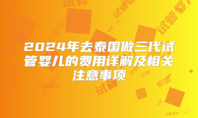 2024年去泰国做三代试管婴儿的费用详解及相关注意事项