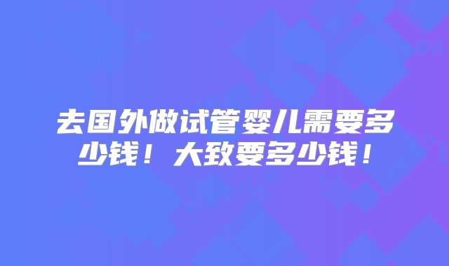 去国外做试管婴儿需要多少钱！大致要多少钱！