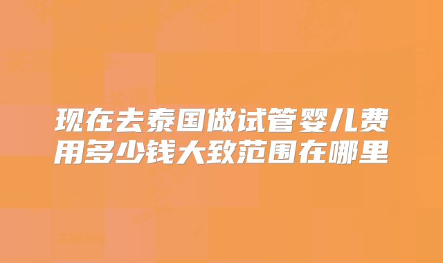 现在去泰国做试管婴儿费用多少钱大致范围在哪里