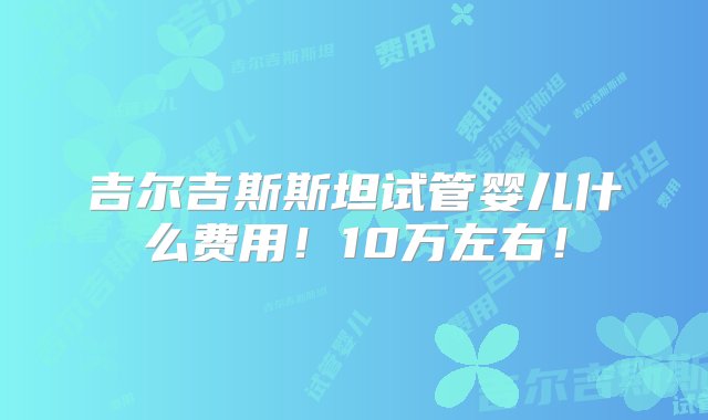 吉尔吉斯斯坦试管婴儿什么费用！10万左右！